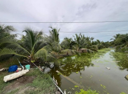 รถมือสอง อสังหาริมทรัพย์ ที่ดิน ปี 0 