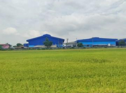 รถมือสอง อสังหาริมทรัพย์ ที่ดิน ปี 0 