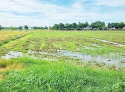 รถมือสอง อสังหาริมทรัพย์ ที่ดิน ปี 0 