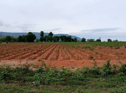 รถมือสอง อสังหาริมทรัพย์ ที่ดิน ปี 0 