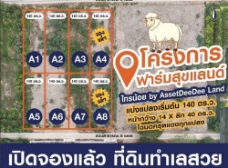 ดินแบ่งขายราคาถูกล็อคละ140 ตรว.ๆละ8,500 ติดถนนสาธารณะกว้าง8ม.ที่ดินแถวไทรน้อย