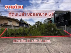 ขายที่ดินเปล่าลาซาล67 แปลงสวยถมแล้ว 100 ตร.ว. เหมาะสร้างบ้าน