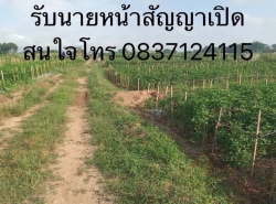 รถมือสอง อสังหาริมทรัพย์ ที่ดิน ปี 0 