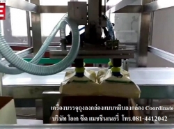 เครื่องบรรจุสินค้าลงกล่อง แบบหยิบลงกล่อง Cordinated Robot Packing Mach