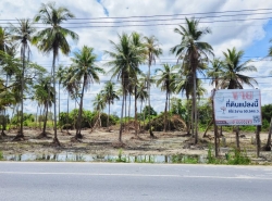 รถมือสอง อสังหาริมทรัพย์ ที่ดิน ปี 0 