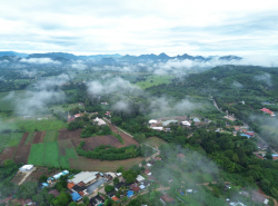 รถมือสอง อสังหาริมทรัพย์ ที่ดิน ปี 0 