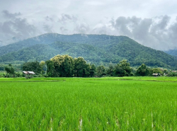 รถมือสอง อสังหาริมทรัพย์ ที่ดิน ปี 0 