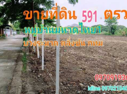 อสังหาริมทรัพย์ - ที่ดิน