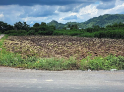 รถมือสอง อสังหาริมทรัพย์ ที่ดิน ปี 0 