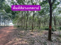 ขายที่ดินพื้นสีม่วงนิตมเกตเวย์​ ที่ดินใกล้นิคมเกตุเวย์ ♨️ที่ดินพื้นที่สีม่วง สร้างโรงงานได้