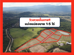 รถมือสอง อสังหาริมทรัพย์ ที่ดิน ปี 0 