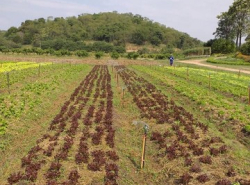 รถมือสอง อสังหาริมทรัพย์ ที่ดิน ปี 0 