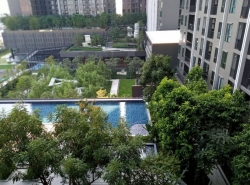 ให้เช่า คอนโด The Parkland Phetkasem56  30 ตรม. 1 bed 1 bath 1 living 1 kitchen 1 balcony 1 parking space