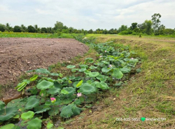 รถมือสอง อสังหาริมทรัพย์ ที่ดิน ปี 0 