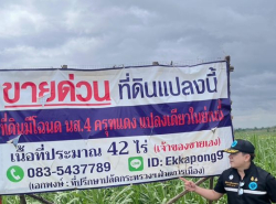 รถมือสอง อสังหาริมทรัพย์ ที่ดิน ปี 0 