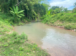 ที่ดินสวนทุเรียน ติดลำธารที่ไหลมาจากน้ำตกวังม่วง วิวภูเขาสวย นครนายก 