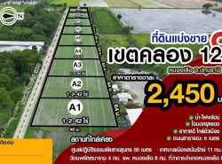 ขายที่ดินปลดหนี้ให้เมีย คลอง12 หนองเสือ เหมาะแก่สร้างบ้านขนาด 642ตรว.ราคา1.57M(2,450/ตรว)