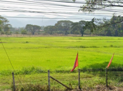 รถมือสอง อสังหาริมทรัพย์ ที่ดิน ปี 0 