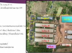 ขายฟาร์มหมู 6 โรงเรือน 37 ล้าน ขนาด 26 ไร่ 3 งาน 21 วา สัญญาเลี้ยง CPF (ไม่ต้องหาตลาดเอง มีรายรับทุกเดือน) 