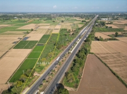 ที่ดินติดถนนเลี่ยงเมืองสุโขทัย ใกล้สี่แยกเตว็ด ทุ่งทะเลหลวง อบจ.สุโขทัย