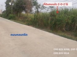 ขายถูกที่ดินถมแล้ว 2-0-2 ไร่ ติดถนนสาธารณะคอนกรีต เข้าซอย 500 ม. ใกล้วัดธรรมกาย คลองหลวง คลอง 3 น้ำไฟพร้อม ปทุมธานี