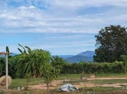 ขายที่สวนเหมาะทำบ้านสวนวัยเกษียน สำหรับสายบุฐสายธรรมห่างวัด 500 เมตร ต.เกาะโพธิ์ อ.ปากพลี จ.นครนายก