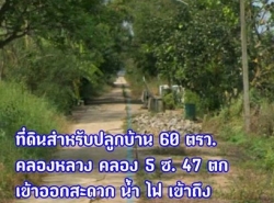  ขายด่วน ที่ดินพร้อมสร้างบ้าน ขนาด 60 ตารางวา ตำบลคลองหลวง อำเภอคลองหลวง จังหวัดปทุมธานี 