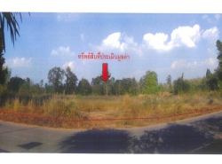  ขายที่ดิน อำเภอน้ำปาด  จังหวัดอุตรดิตถ์  2 ไร่ 3 งาน 13.20 ตร.ว