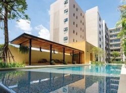 Luxury condo for rent at The Issara Chiang Mai 13,000 baht per month 39 sq.m.