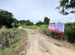 ขาย ที่ดินติดถนนทางหลวง3309 ทำเลทอง! เหมาะแก่การลงทุน ต.สามคิ้ว อ.สามโคก จ.ปทุมธานี