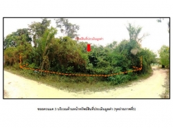 ที่ดินว่างเปล่า อ.เหนือคลอง จ.กระบี่    PG KBI610004