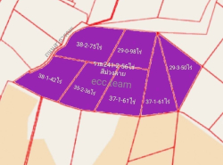 ขายที่ดินสีม่วงลายหนองอิรุณ บ้านบึง ชลบุรี (เนื้อที่ 241-2-56 ไร่  รวมเป็นเงิน 459,116,000 บาท ) หนองอิรุณ บ้านบึง ชลบุรี