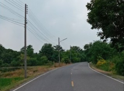  ขายที่ดิน 10 ไร่ ใกล้ถนนสิริโสธร ( 314 ) บางปะกง-ฉะเชิงเทรา  ต.แสนภูดาษ อ.บ้านโพธิ์ จ.ฉะเชิงเทรา