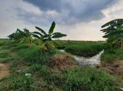 ขายที่ดินคลองเจ็ด ถนนเลียบคลองแอนเจ็ด อ.หนองเสือ จ.ปทุมธานี