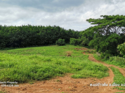 รถมือสอง อสังหาริมทรัพย์ ที่ดิน ปี 0 