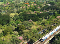 ขายราคาพิเศษ Condo The Line จตุจักร - หมอชิต ห้องแต่งสวย วิวสวย สวนจตุจักร