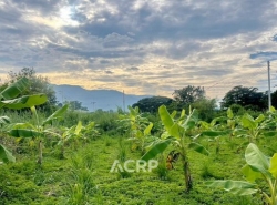 รถมือสอง อสังหาริมทรัพย์ ที่ดิน ปี 0 