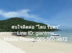 ขายที่ดินเปล่า “เกาะพีพี จ.กระบี่” เนื้อที่ 168 ตร.ว. (น.ส.4 จ), 5 ล้านบาท 