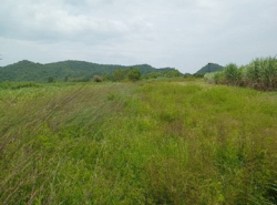 ขายที่ดินทำเลดี 5 ไร่  ตำบลธรรมเสน อำเภอโพธาราม จังหวัดราชบุรี