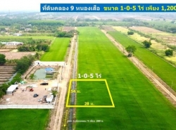 #ที่ดินคลอง 9 หนองเสือ เข้าซอยเพียง 200 เมตร ขนาด 1ไร่ 5ตร.ว 1.2 ล้านเท่านั้น เข้าจาก ถ.รังสิต-นครนายก 4.3 กม.