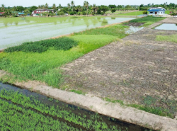 รถมือสอง อสังหาริมทรัพย์ ที่ดิน ปี 0 