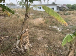 รถมือสอง อสังหาริมทรัพย์ ที่ดิน ปี 0 