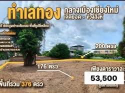 ขายที่ดิน 376ตรว. 20.116ลบ. สาธารณูปโภค ทำเลทองเจ็ดยอด-ข่วงสิงห์ ต.ช้างเผือก อ.เมือง เชียงใหม่