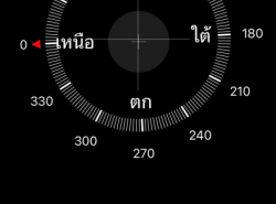 ขาย บ้านเดี่ยว บ้านเดี่ยว บางระกำ พิษณุโลก 255 ตรม. 235 ตร.วา