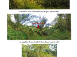 ขายที่ดิน  อำเภอเมืองเชียงราย  จังหวัดเชียงราย  เนื้อที่ 5 ไร่ 30 ตร.ว