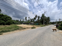 รถมือสอง อสังหาริมทรัพย์ ที่ดิน ปี 0 