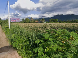 รถมือสอง อสังหาริมทรัพย์ ที่ดิน ปี 0 