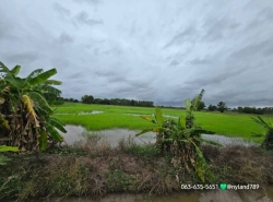 รถมือสอง อสังหาริมทรัพย์ ที่ดิน ปี 0 