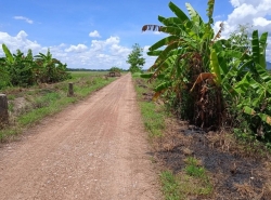 ขายที่ดิน อำเภอเวียงชัย จังหวัดเชียงราย ที่นา น้ำอุดมสมบูรณ์ มีประปา