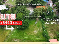 ขายที่ดิน ยกแปลง 344.3 ตารางวา อำเภอเมืองเชียงใหม่ 